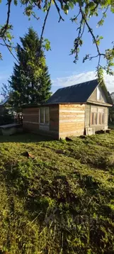 Дом в Вологодская область, Череповец № 2 ЧМХС СНТ, 171 (26 м)