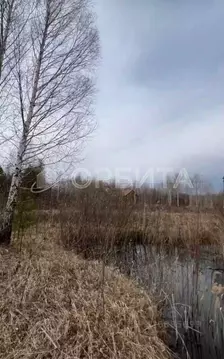 Участок в Тюменская область, Нижнетавдинский муниципальный округ, ...