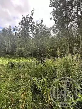 Участок в Ленинградская область, Всеволожский район, Рахьинское ...