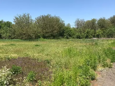 Участок в Краснодарский край, Анапа муниципальный округ, Гостагаевская ...