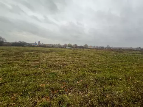 Участок в Тульская область, Щекинский район, Лазаревское с/пос, с. ...