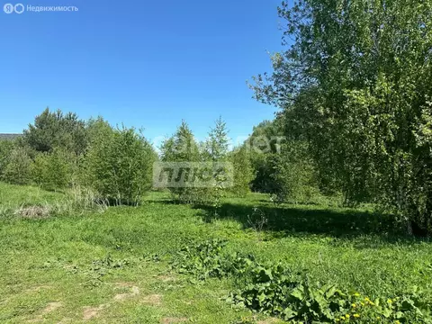 Участок в Московская область, Раменский муниципальный округ, деревня ...