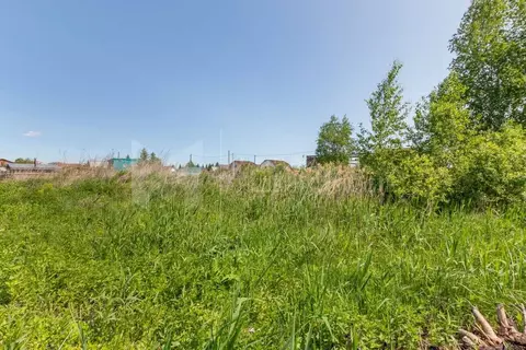 Участок в Тюменская область, Тюмень Якорь садовое товарищество, ул. ...