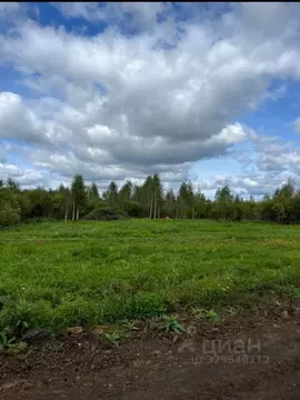 Участок в Тюменская область, Тюменский муниципальный округ, с. Кулига, ...