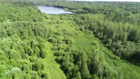 Участок в Новгородская область, Валдайский район, Рощинское с/пос, д. ...