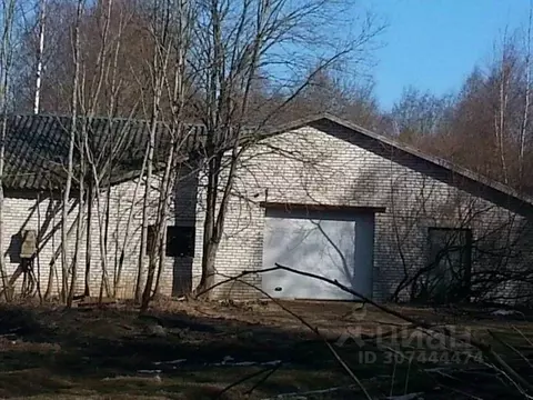 Производственное помещение в Ленинградская область, Кингисеппский ...