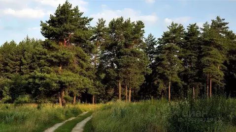 Участок в Тульская область, Тула городской округ, с. Зайцево ул. ...