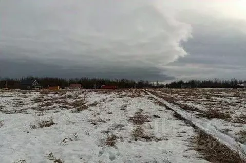 Участок в Новгородская область, Новгородский район, Трубичинское ...