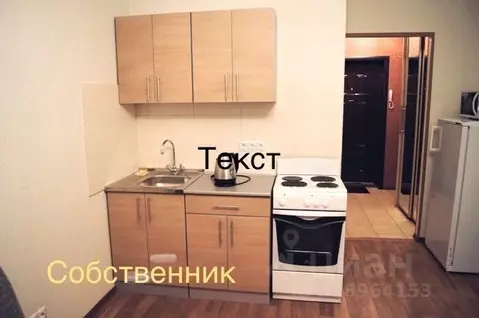 Студия Новосибирская область, Новосибирск ул. Бориса Богаткова, 208/3 ...