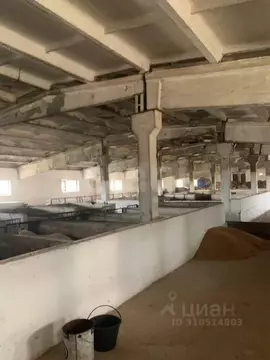 Склад в Крым, Белогорский район, Русаковское с/пос, с. Луговое ул. ...