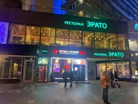 Торговая площадь в Москва ул. Новый Арбат, 13 (206 м)