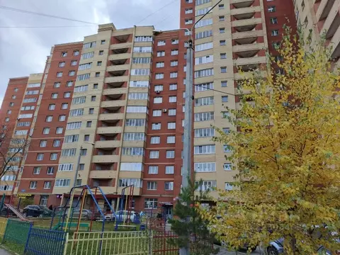 Студия Пермский край, Пермь ул. Ивана Франко, 42 (33.7 м)