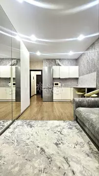 Студия Санкт-Петербург аллея Арцеуловская, 23к1 (25.0 м)