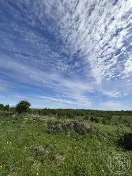 Участок в Ленинградская область, Ломоносовский район, Лопухинское ...