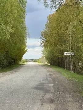 Участок в Нижегородская область, Богородский муниципальный округ, д. ...