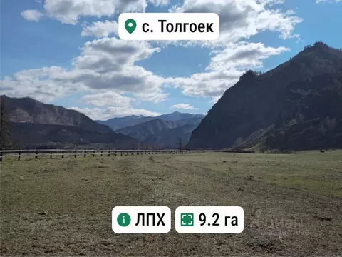 Участок в Алтай, Чемальский район, с. Толгоек  (9.2 сот.)