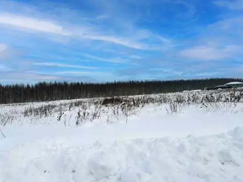 Участок в Московская область, Раменский муниципальный округ, Оттепель ...