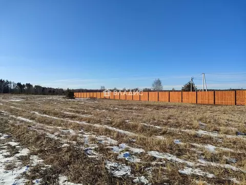 Участок в Московская область, Ногинск Богородский городской округ, ул. ...