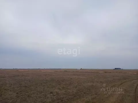 Участок в Крым, Сакский район, Штормовское с/пос, с. Хуторок ул. ...