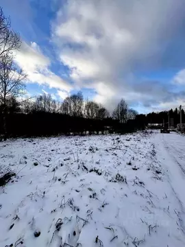 Участок, 6 сот., сельхоз (снт или днп)