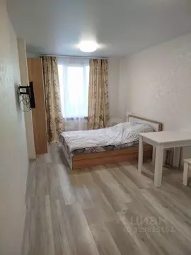 Студия Ленинградская область, Мурино Всеволожский район, ул. Шоссе в ...