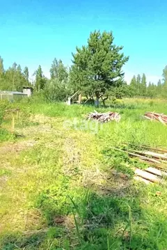 Участок в Ленинградская область, Гатчинский муниципальный округ, пос. ...