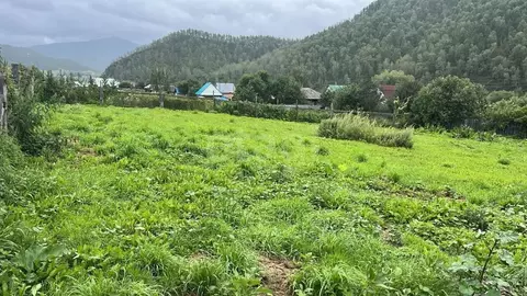 Участок в Алтай, Шебалинский район, с. Шебалино Советская ул. (12.0 ...