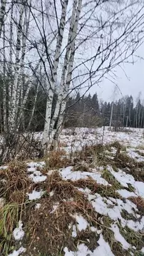 Участок в Московская область, Дмитровский муниципальный округ, ...