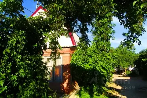 Дом в Краснодарский край, Ейский район, Должанская ст-ца ул. Чапаева ...