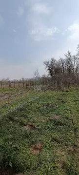 Участок в Краснодарский край, Анапа муниципальный округ, Красный ...