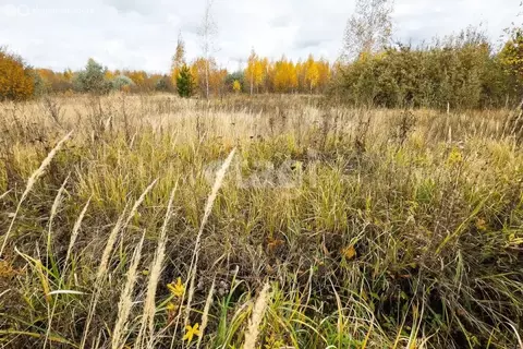 Участок в Ишеевка, улица Берзовая Роща (89.82 м)