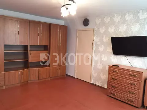 1-к кв. Санкт-Петербург Искровский просп., 4К2 (33.0 м)