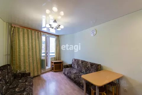 Студия Ленинградская область, Сертолово Всеволожский район, ...