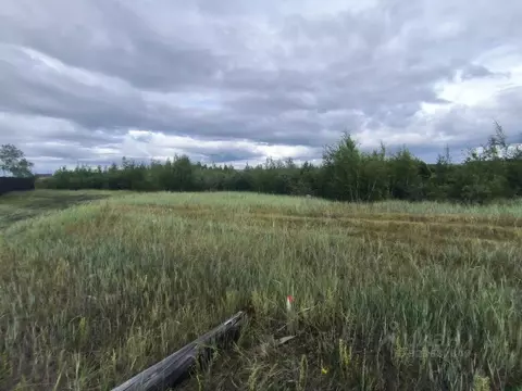 Участок в Саха (Якутия), Якутск ш. Покровское (10.0 сот.)