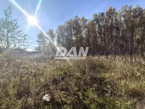 Участок в Челябинская область, Сосновский муниципальный округ, с. ...