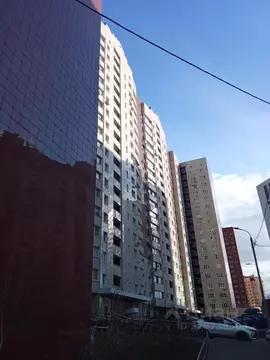 Студия Москва, Москва, Щербинка Южный кв-л, 4 (20.0 м)