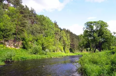 Участок в Тверская область, Зубцовский муниципальный округ, д. Мозгово ...
