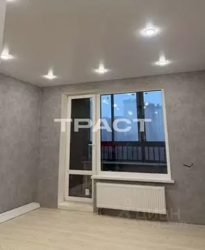 Студия Воронежская область, Воронеж ул. Независимости, 78к1 (23.0 м)