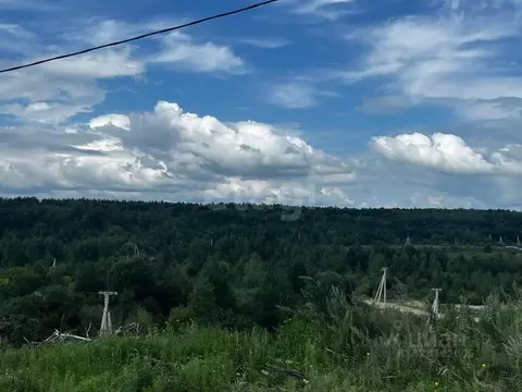 Участок в Амурская область, Благовещенский район, с. Егорьевка  (15.0 ...