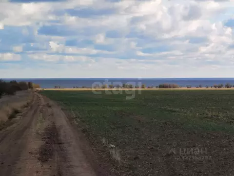 Участок в Крым, Черноморский район, Окуневское с/пос, с. Громово  ...