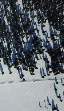 Участок в Алтай, Онгудайский район, с. Каракол  (358.0 сот.)