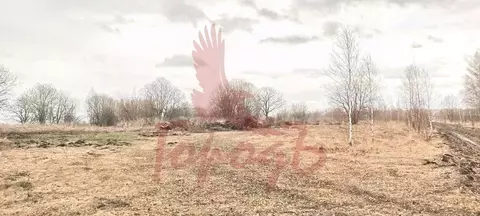 Участок в Орловская область, Урицкий район, Котовское с/пос, д. ...