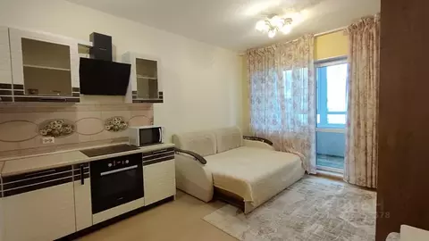 Студия Санкт-Петербург Комендантский просп., 71 (24.2 м)