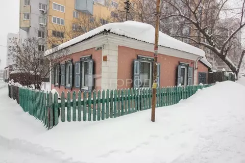 Дом в Алтайский край, Барнаул пер. Ядринцева, 111А (41 м)