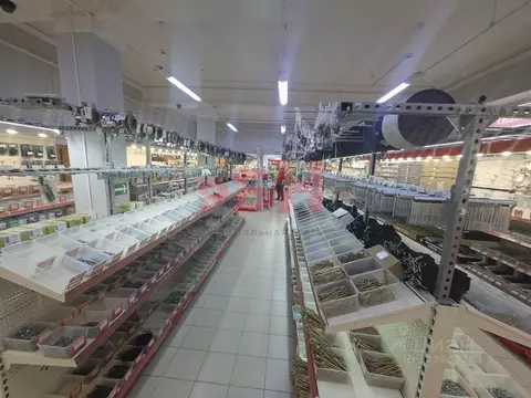 Помещение свободного назначения в Самарская область, Новокуйбышевск ...