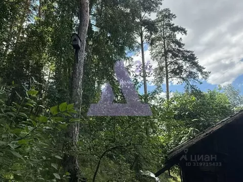 Дом в Алтайский край, Барнаул Канатный проезд, 31 (26 м)