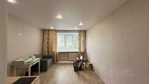 Студия Курганская область, Курган Чернореченская ул., 91А (17.7 м)