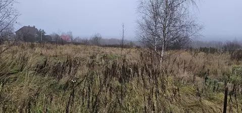 Участок в Московская область, Луховицы муниципальный округ, д. Берхино ...