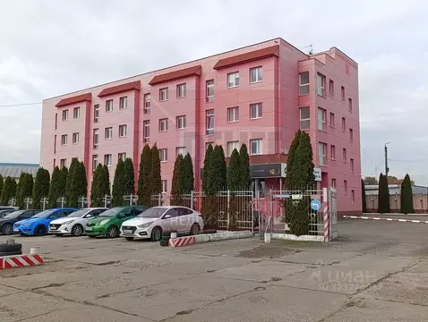 Помещение свободного назначения в Калининградская область, Калининград ...