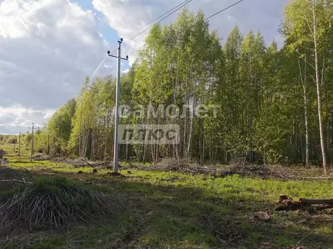 Участок в Нижегородская область, Чкаловск  (100.0 сот.)